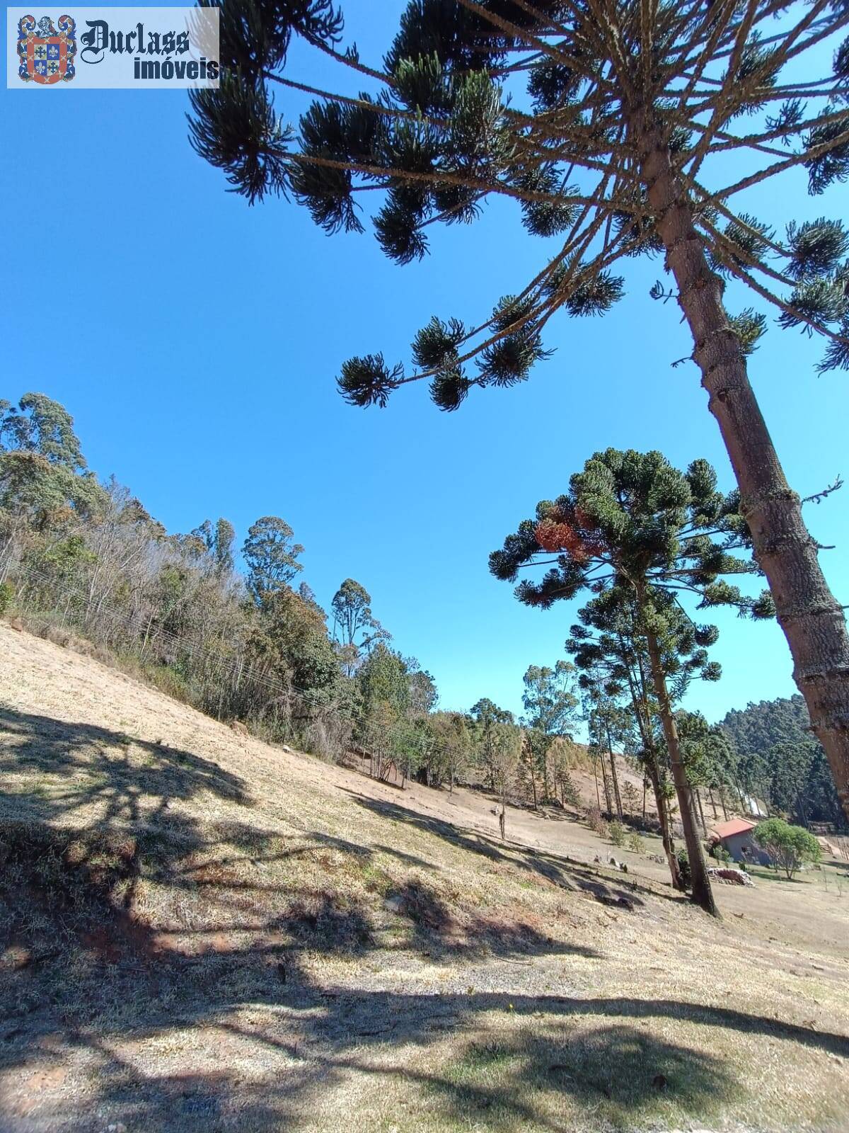 Sítio, 5 quartos, 13 hectares - Foto 15