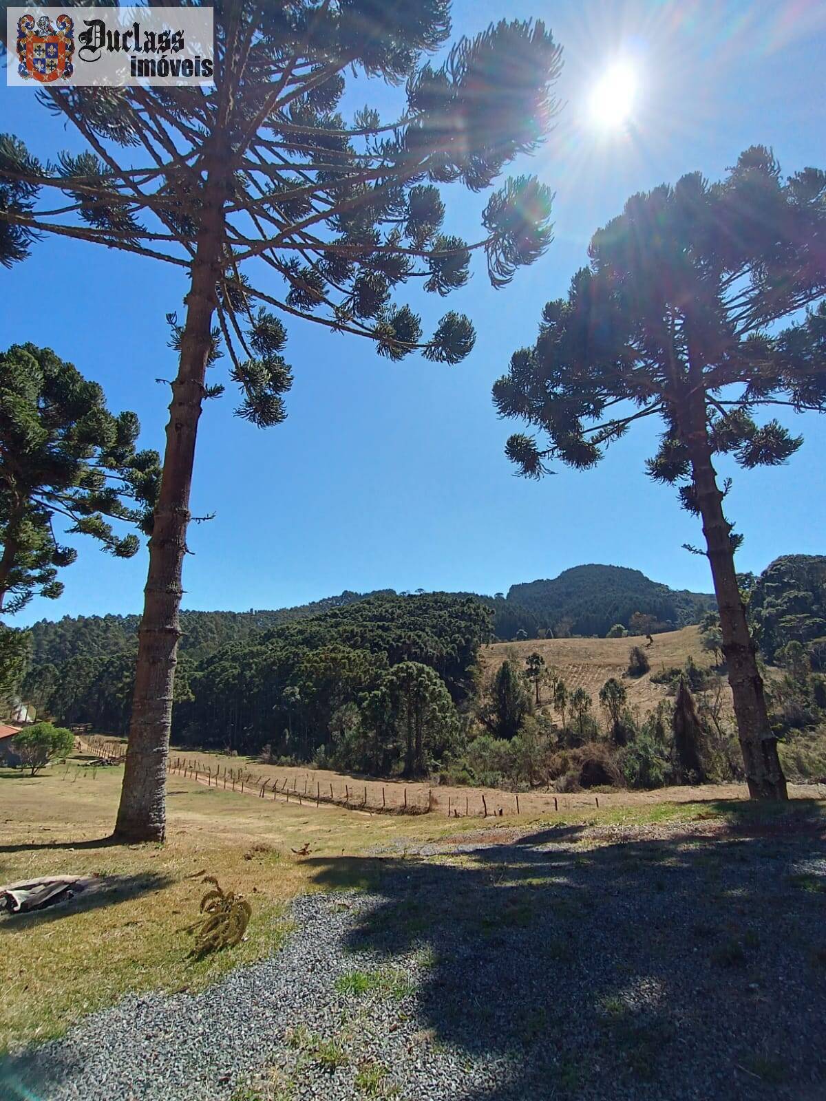 Sítio, 5 quartos, 13 hectares - Foto 17