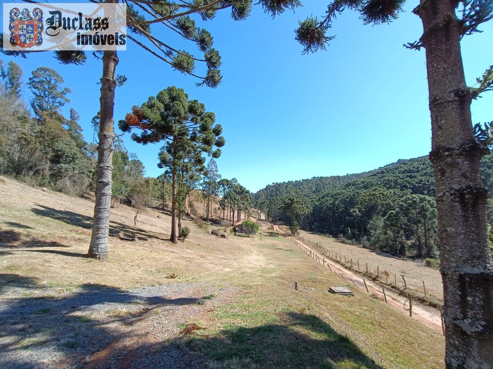 Sítio, 5 quartos, 13 hectares - Foto 18