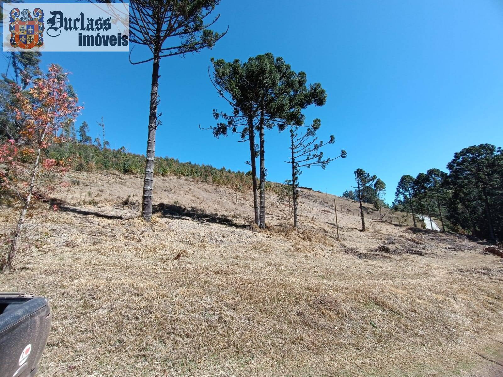 Sítio, 5 quartos, 13 hectares - Foto 20