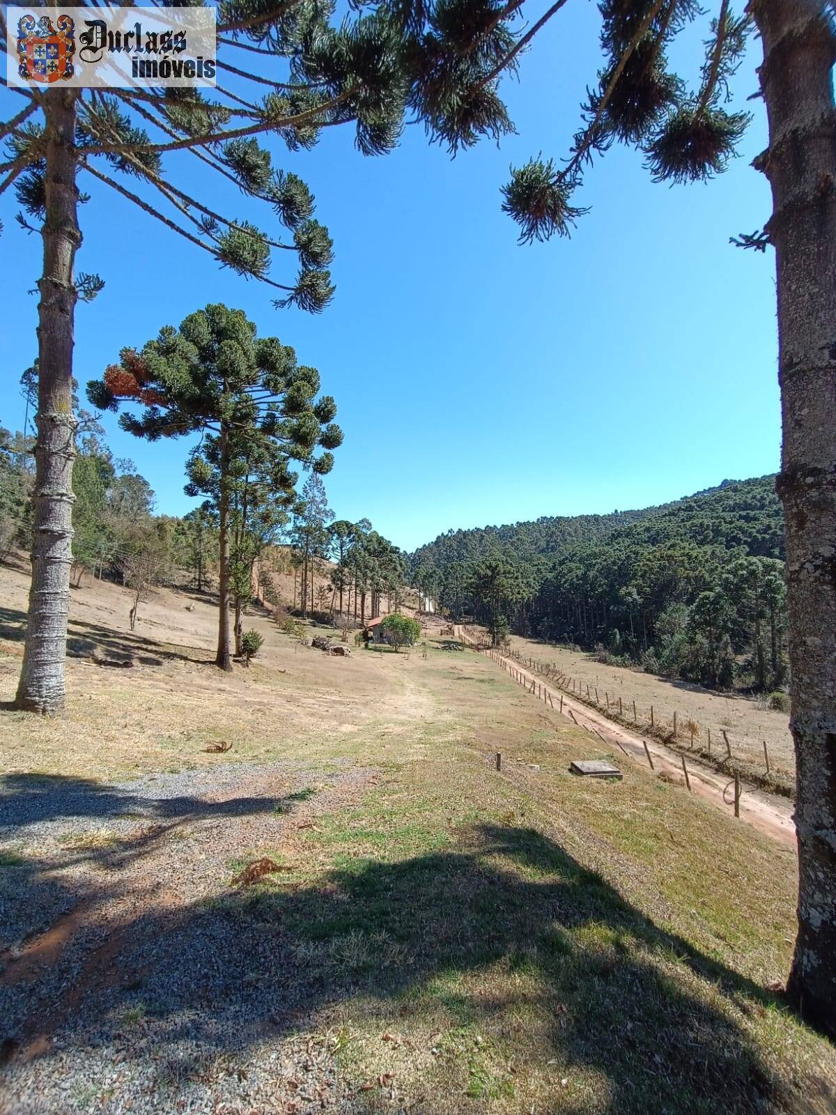 Sítio, 5 quartos, 13 hectares - Foto 21