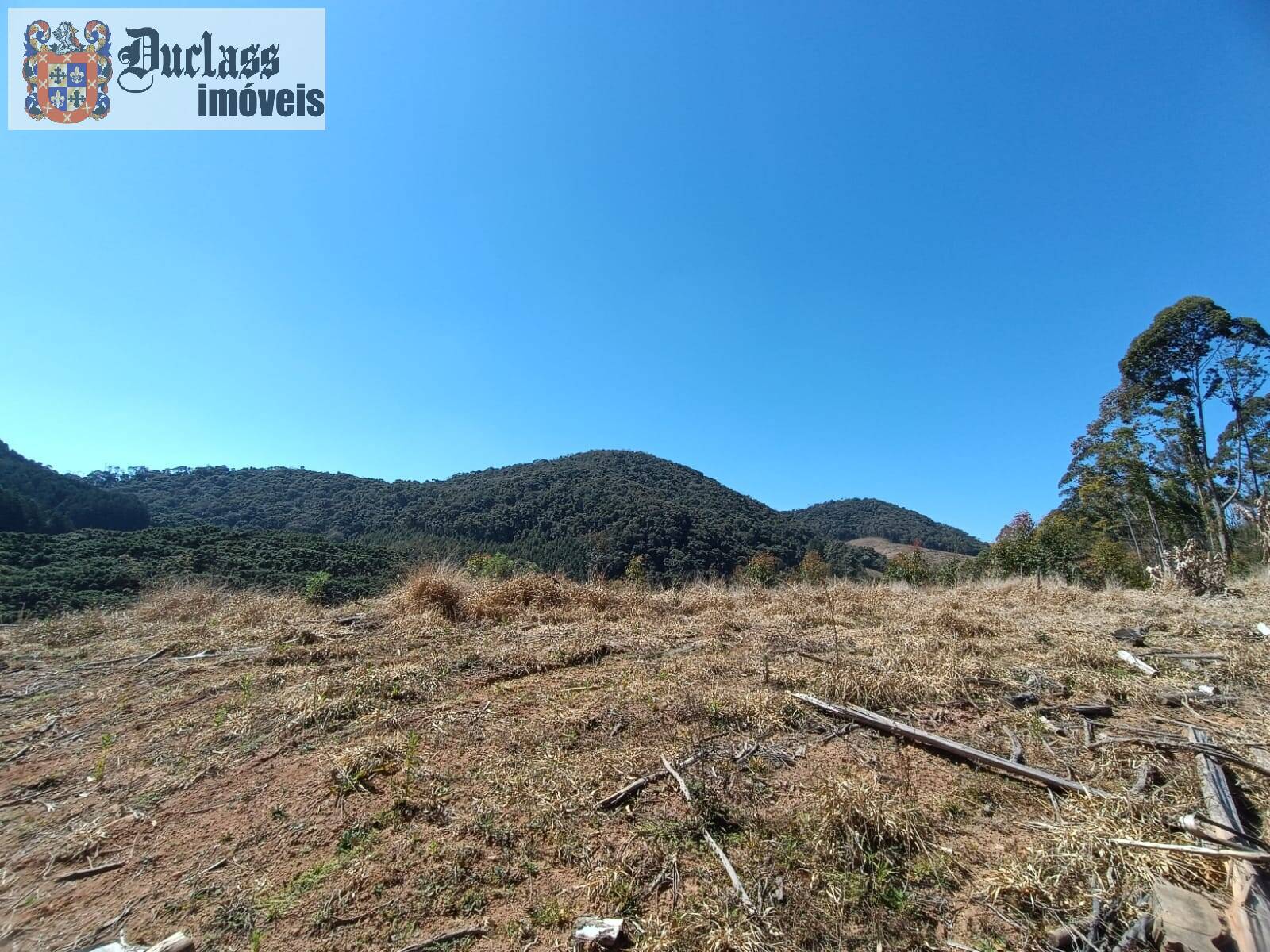 Sítio, 5 quartos, 13 hectares - Foto 22