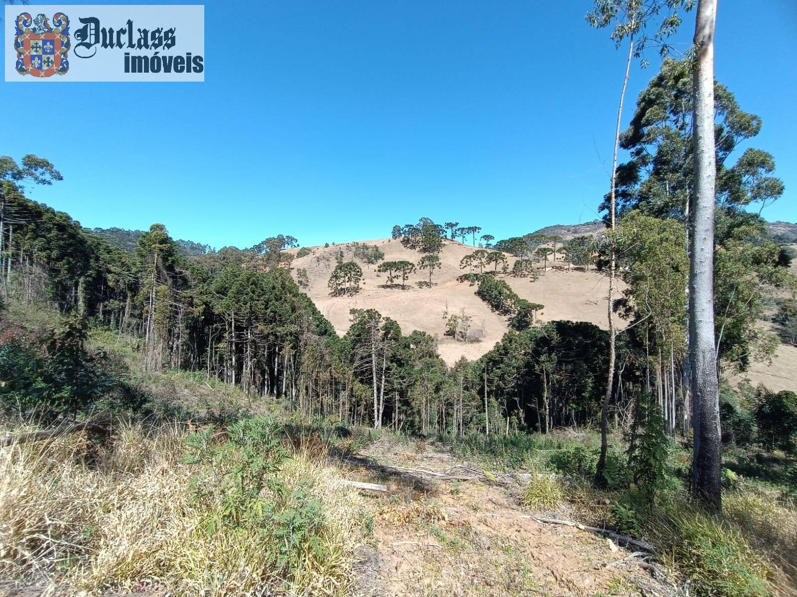 Sítio, 5 quartos, 13 hectares - Foto 25