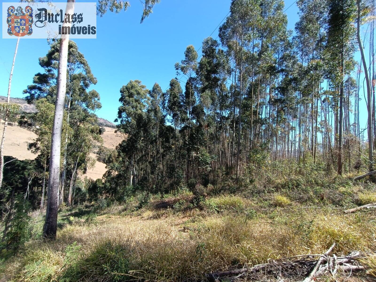 Sítio, 5 quartos, 13 hectares - Foto 27