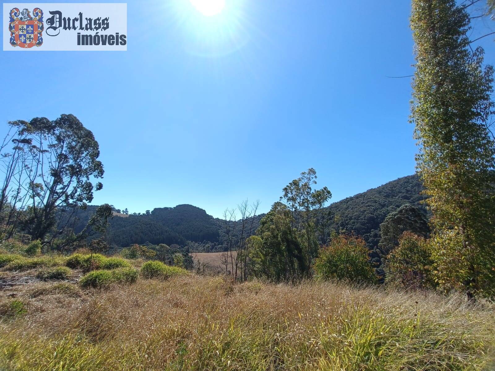 Sítio, 5 quartos, 13 hectares - Foto 28