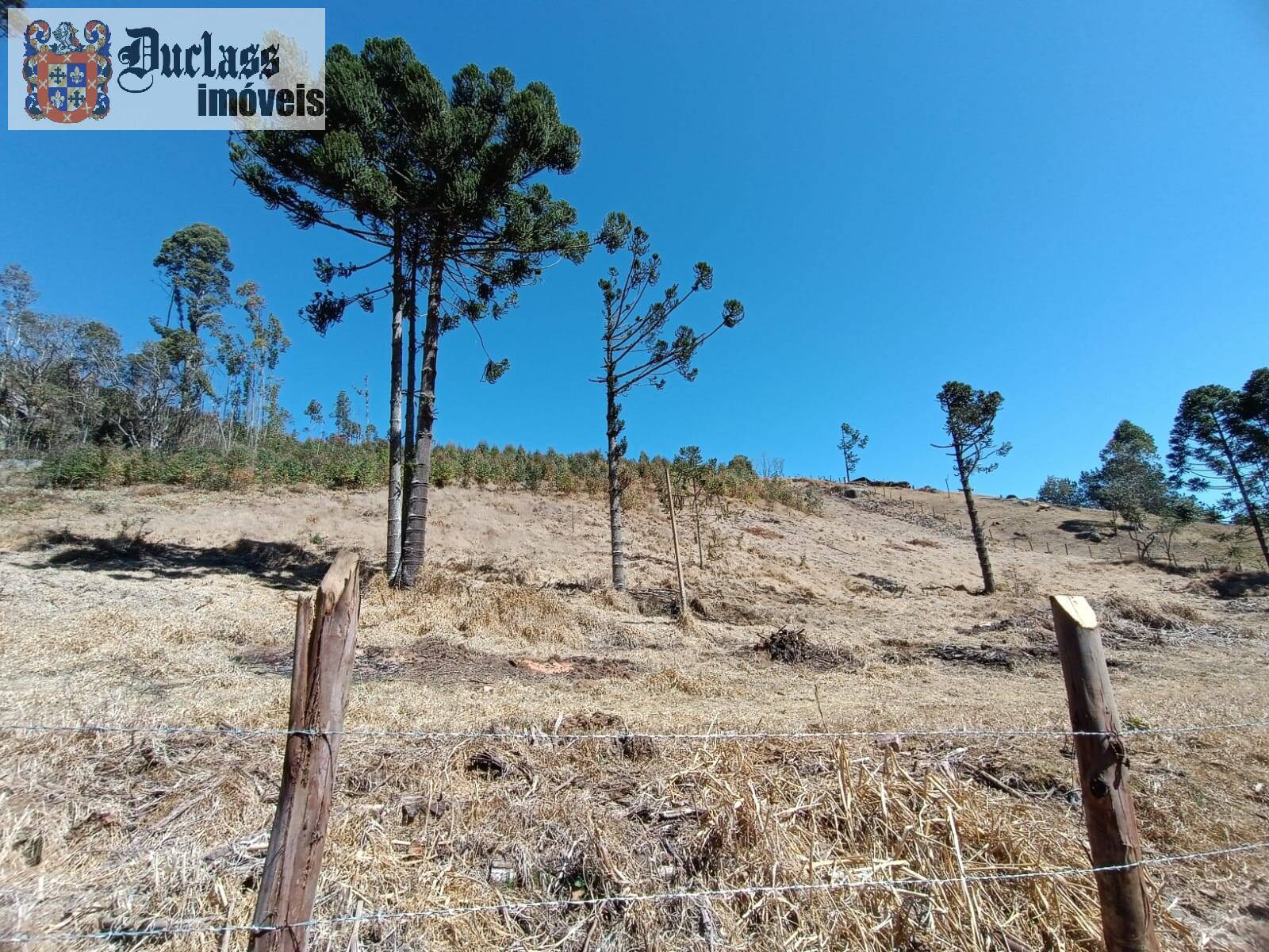 Sítio, 5 quartos, 13 hectares - Foto 29