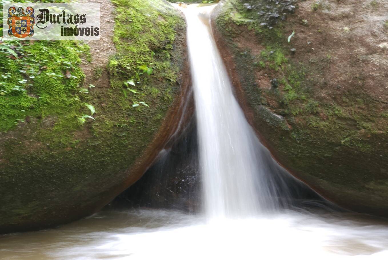 Sítio, 5 quartos, 13 hectares - Foto 44