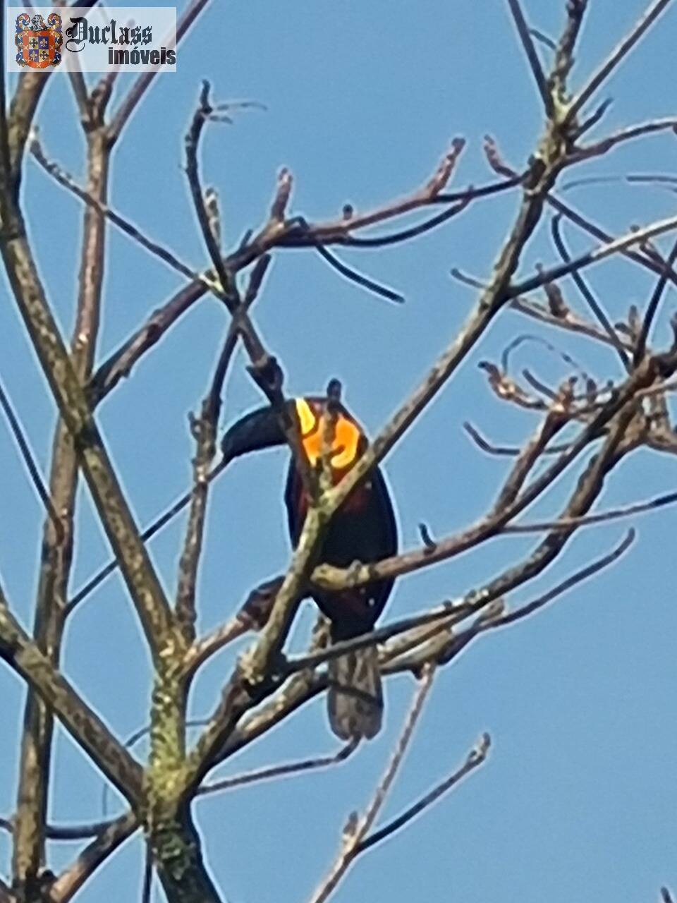 Sobrado, 3 quartos, 206 m² - Foto 17