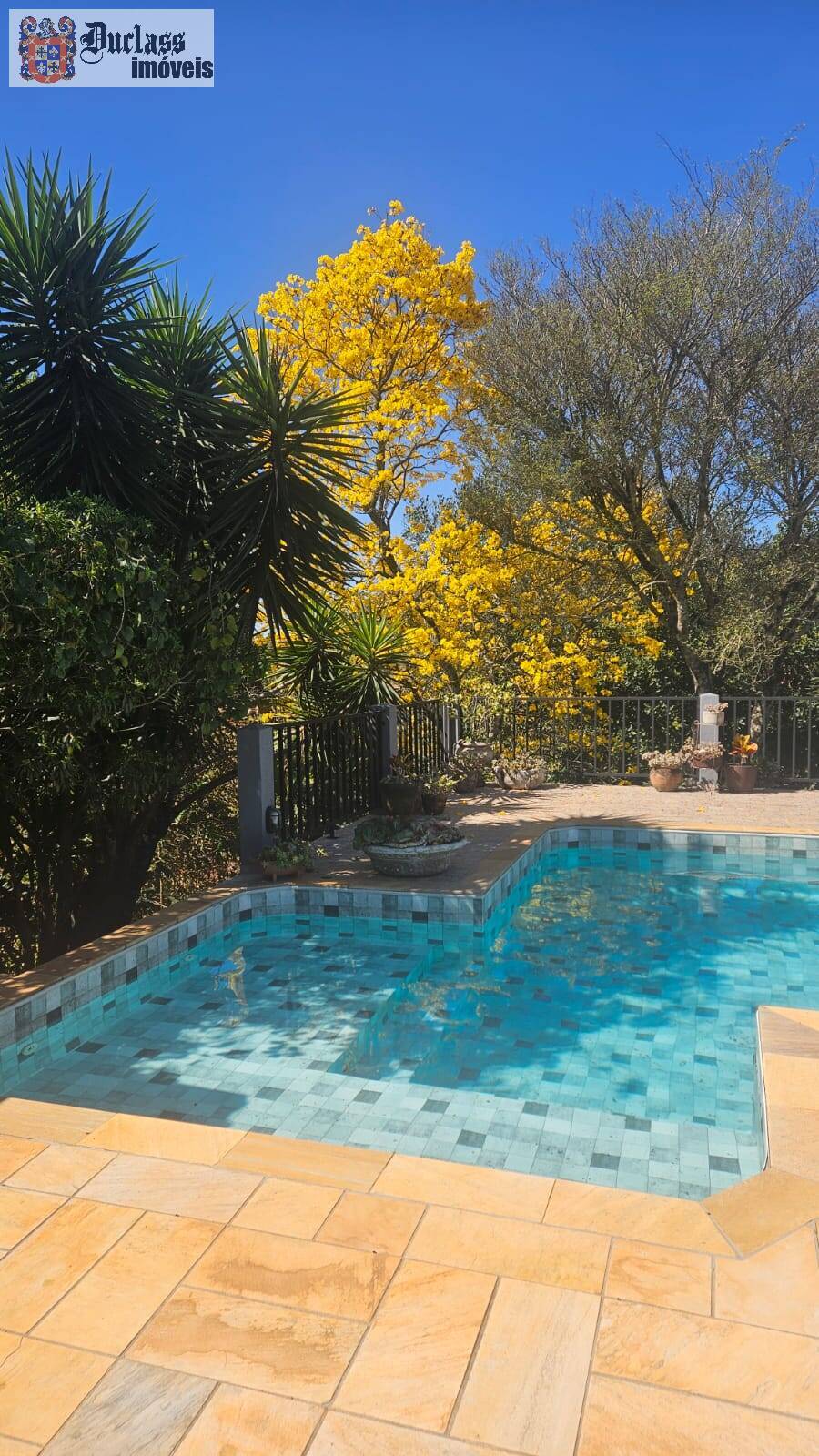 Chácara, 4 quartos, 1080 m² - Foto 10