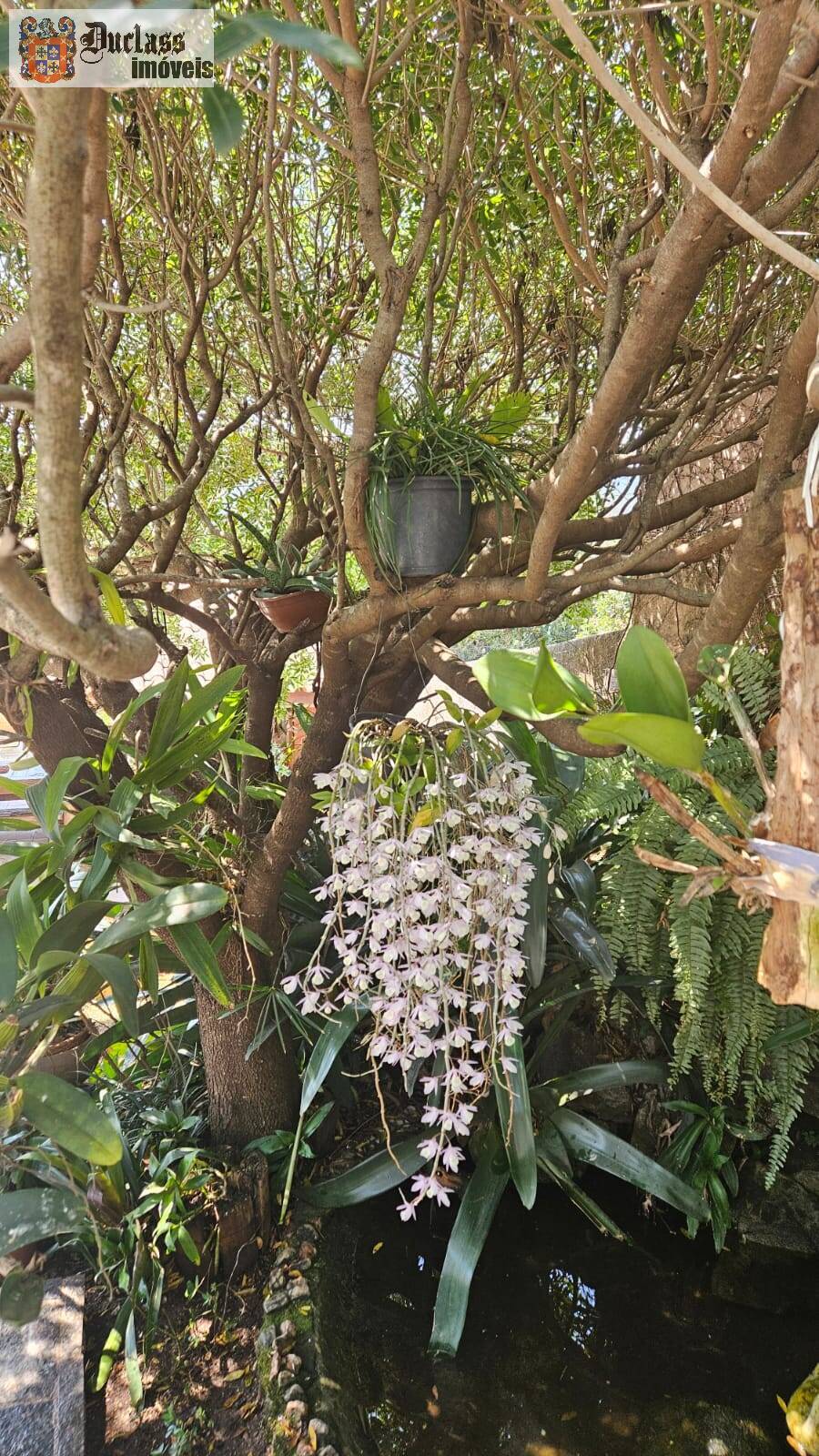 Chácara, 4 quartos, 1080 m² - Foto 12