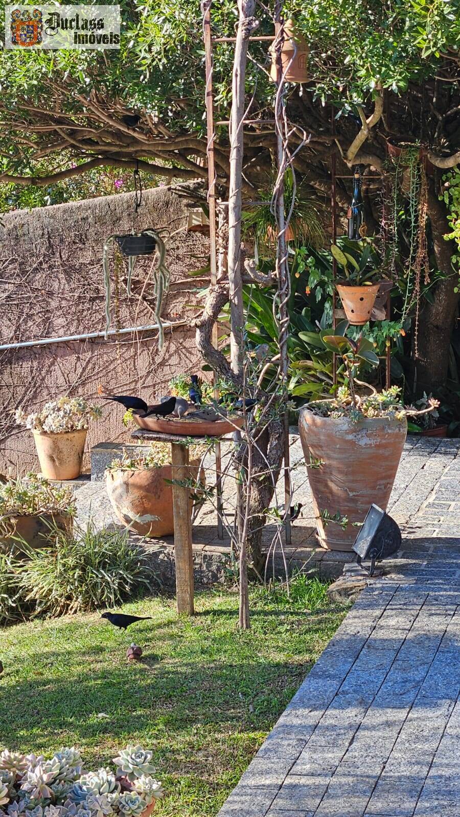 Chácara, 4 quartos, 1080 m² - Foto 18