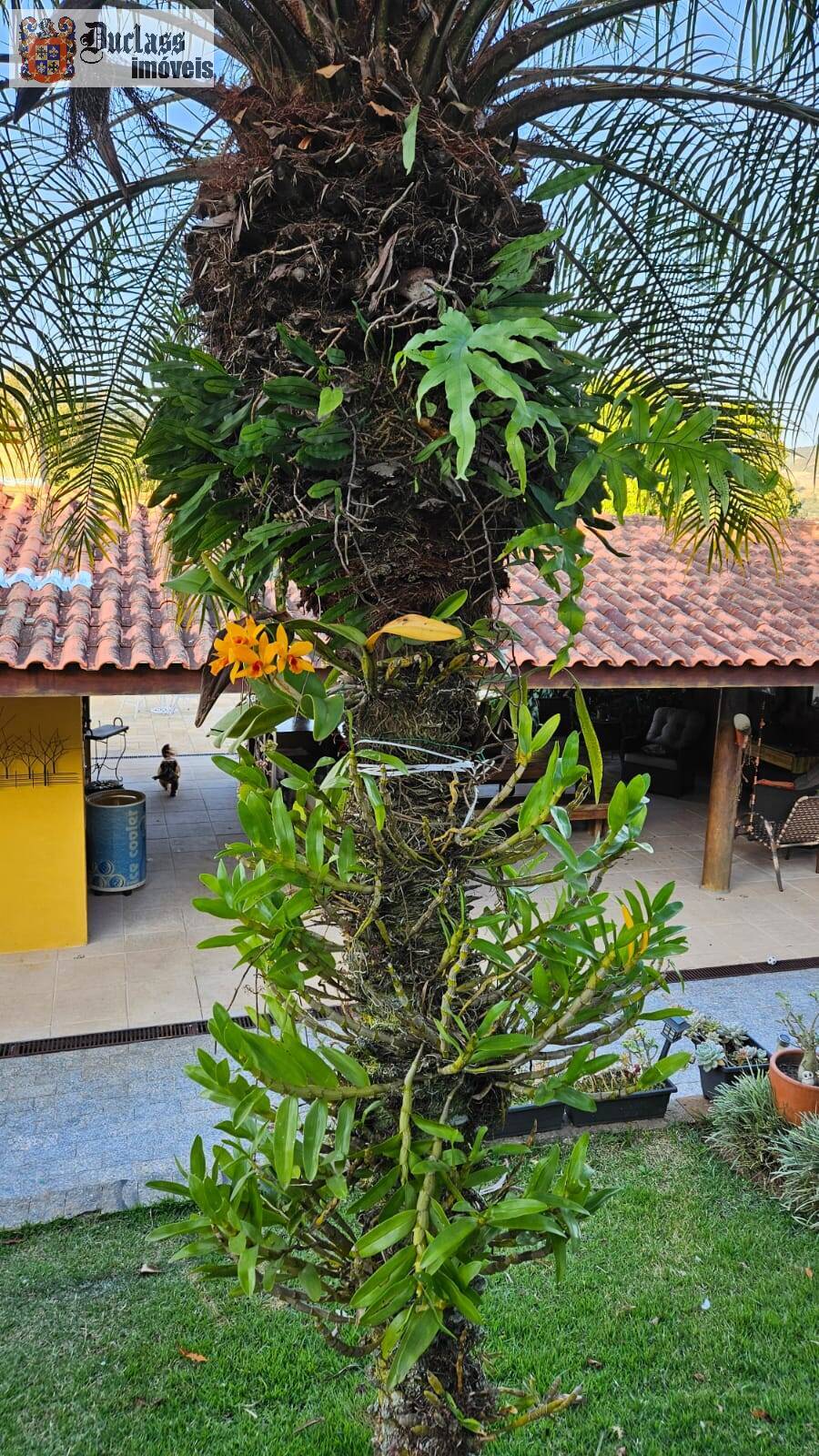 Chácara, 4 quartos, 1080 m² - Foto 21