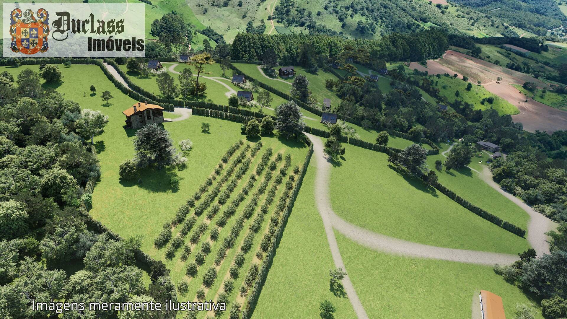 Terreno, 2 hectares - Foto 19