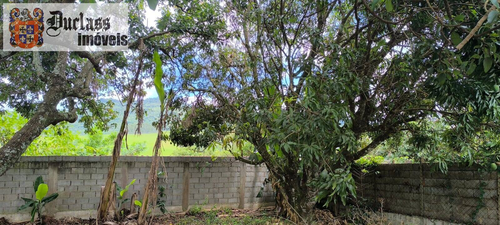 Sítio, 4 quartos, 1500 m² - Foto 28