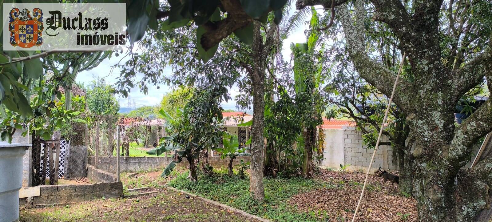 Sítio, 4 quartos, 1500 m² - Foto 33