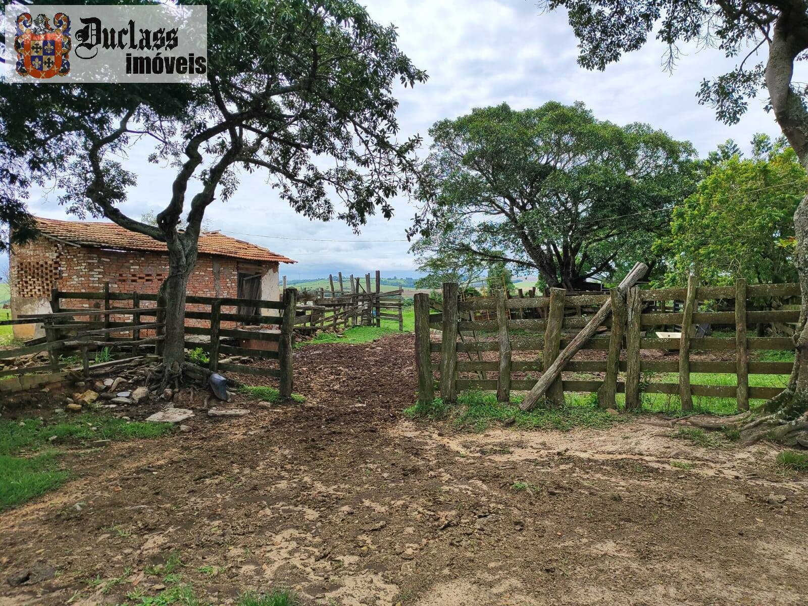 Terreno, 68 hectares - Foto 6