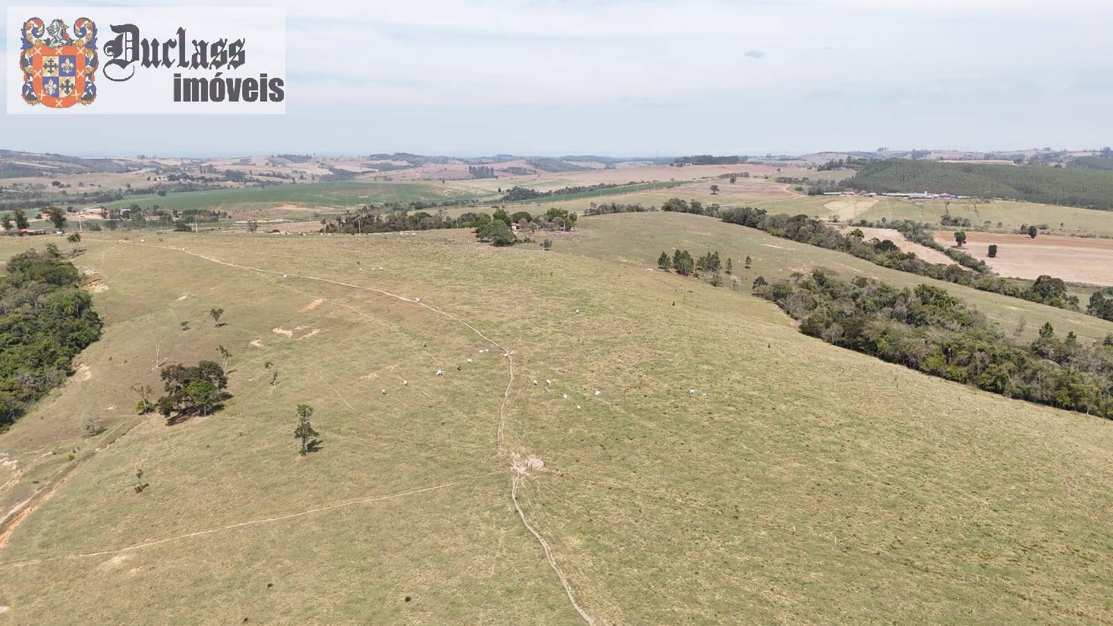 Terreno, 68 hectares - Foto 4
