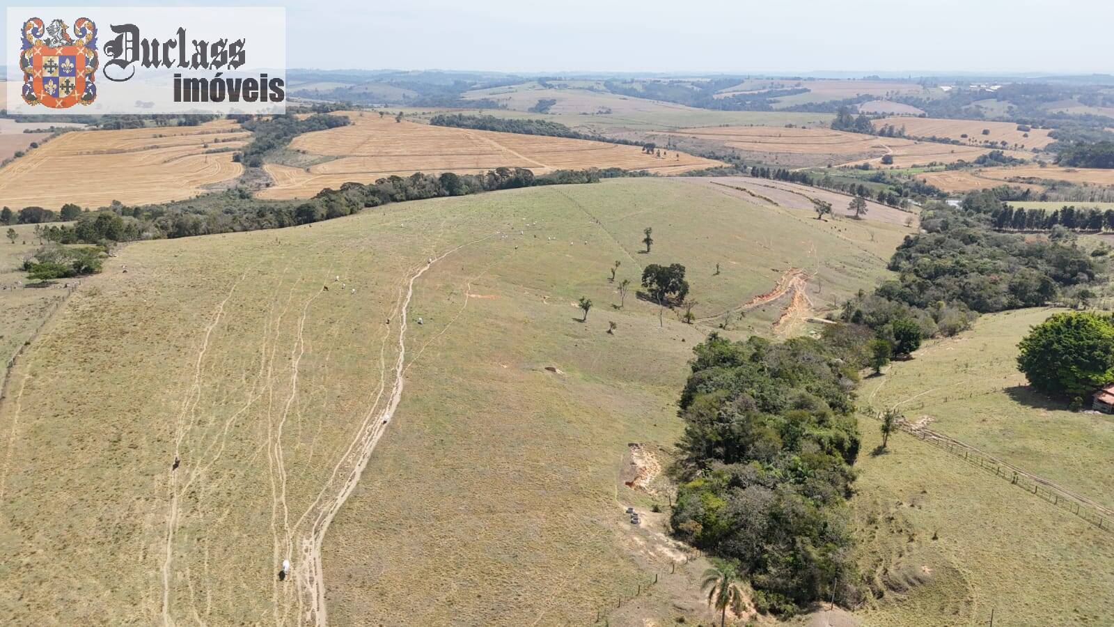 Terreno, 68 hectares - Foto 7