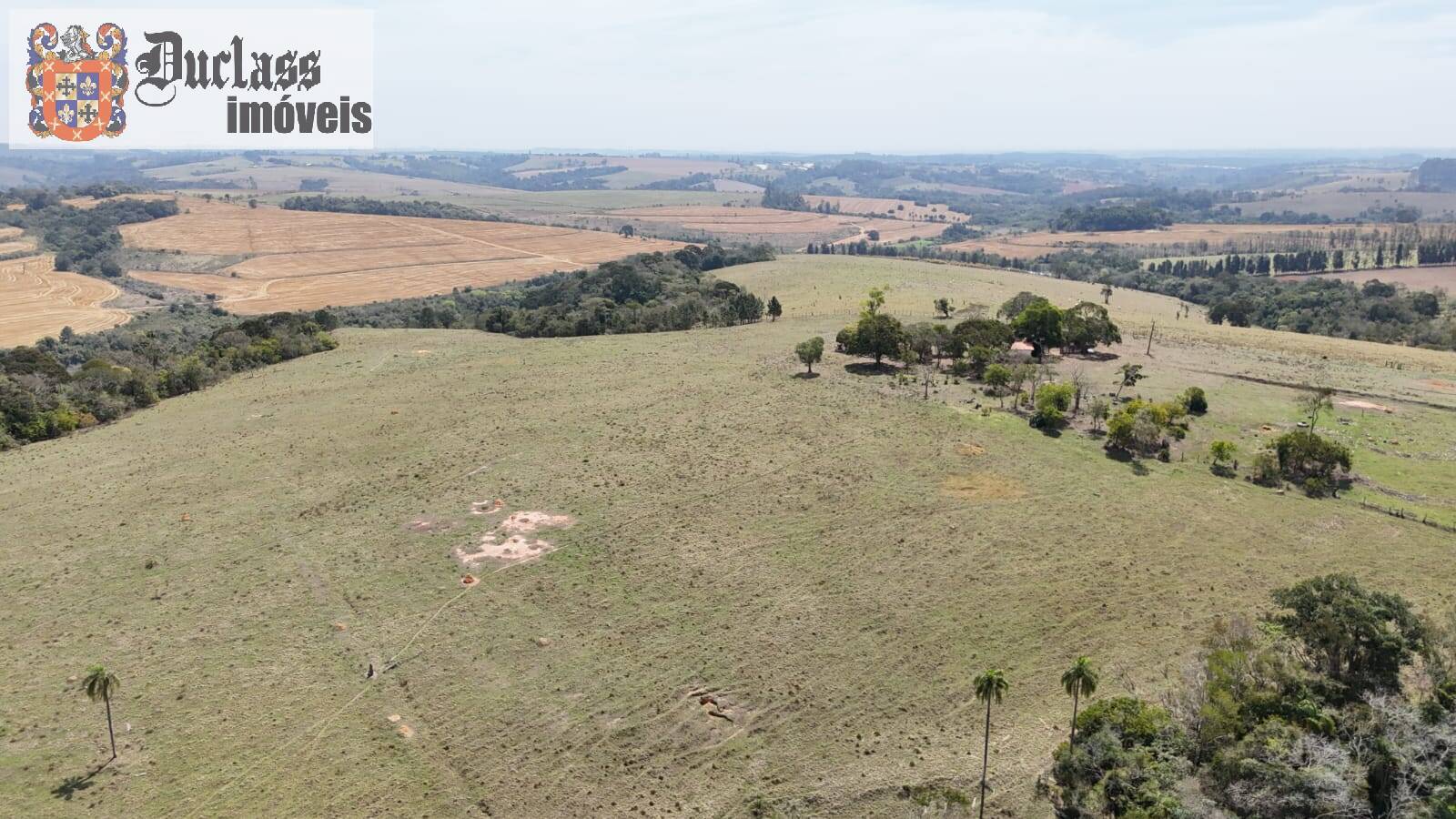 Terreno, 68 hectares - Foto 8