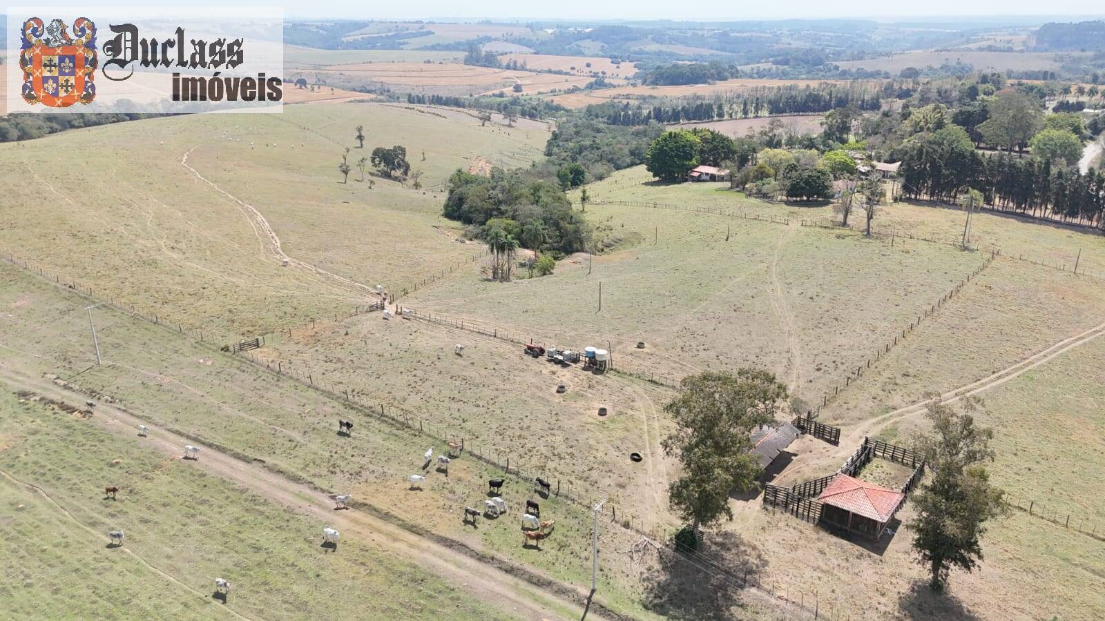 Terreno, 68 hectares - Foto 13