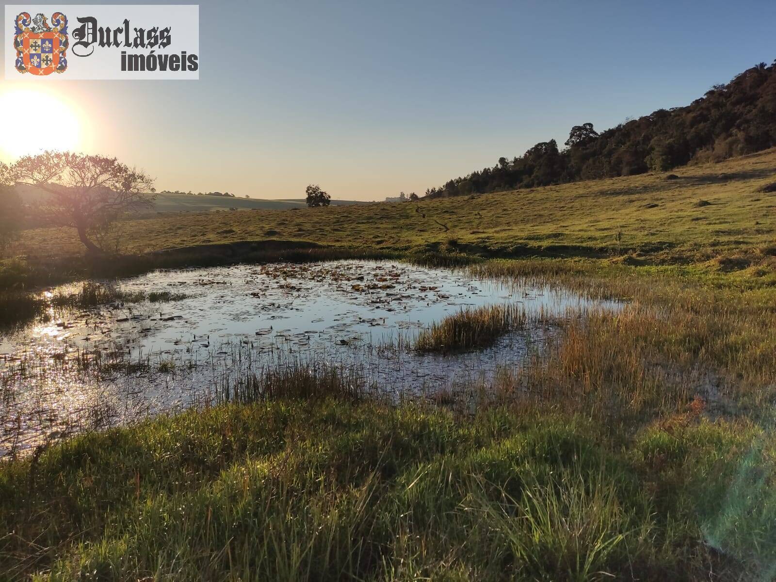Terreno, 68 hectares - Foto 10