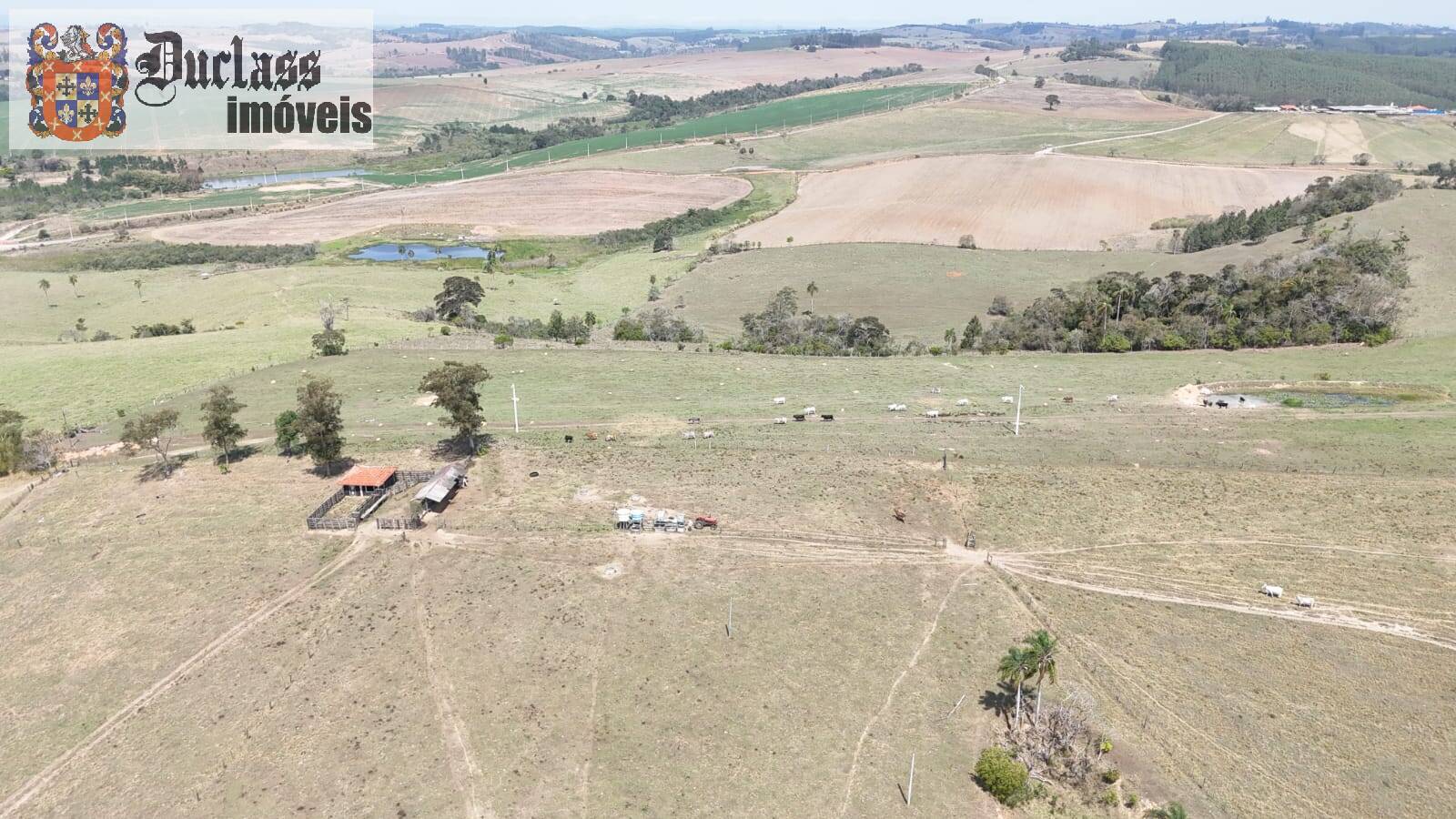 Terreno, 68 hectares - Foto 18