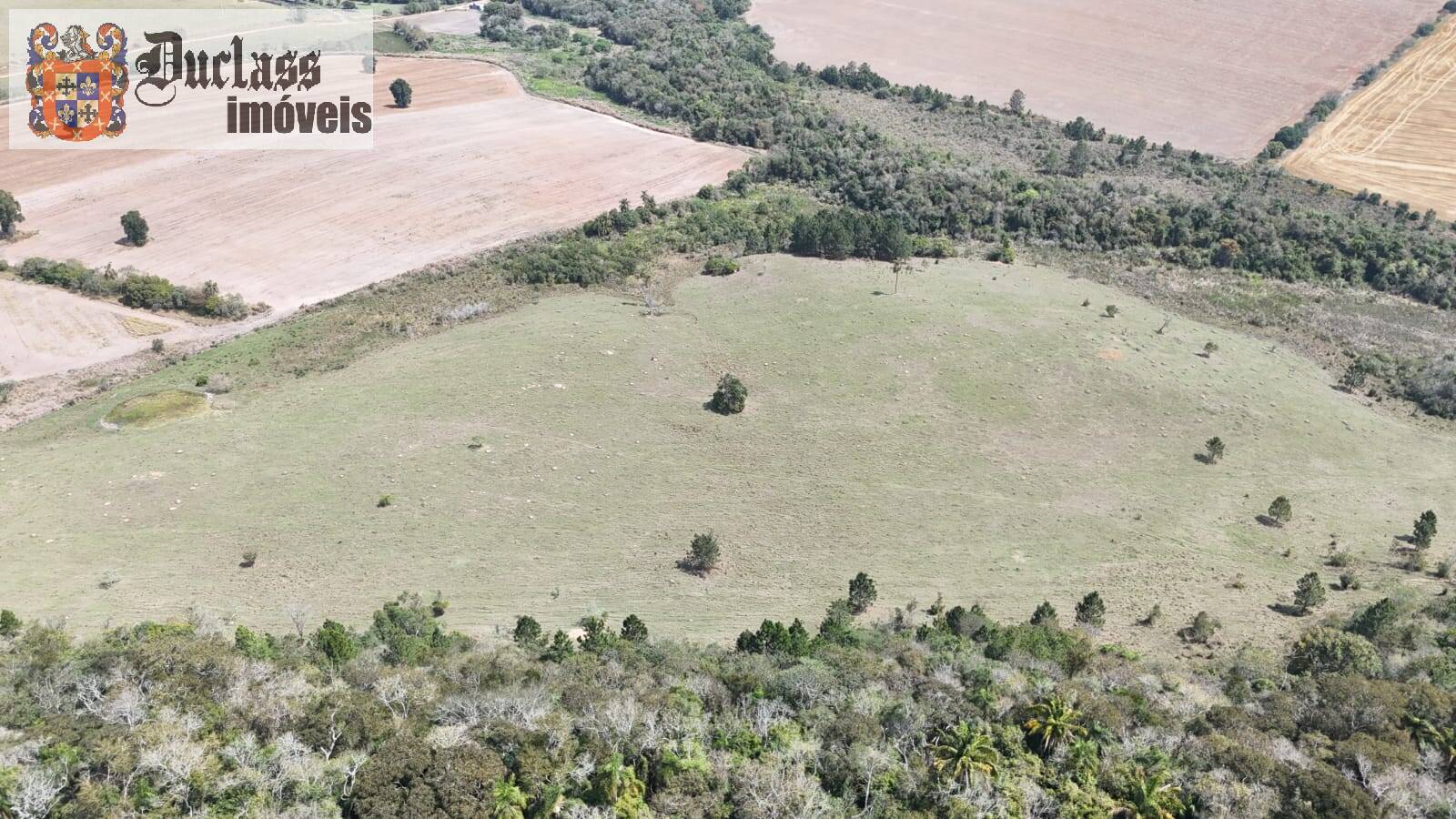 Terreno, 68 hectares - Foto 15