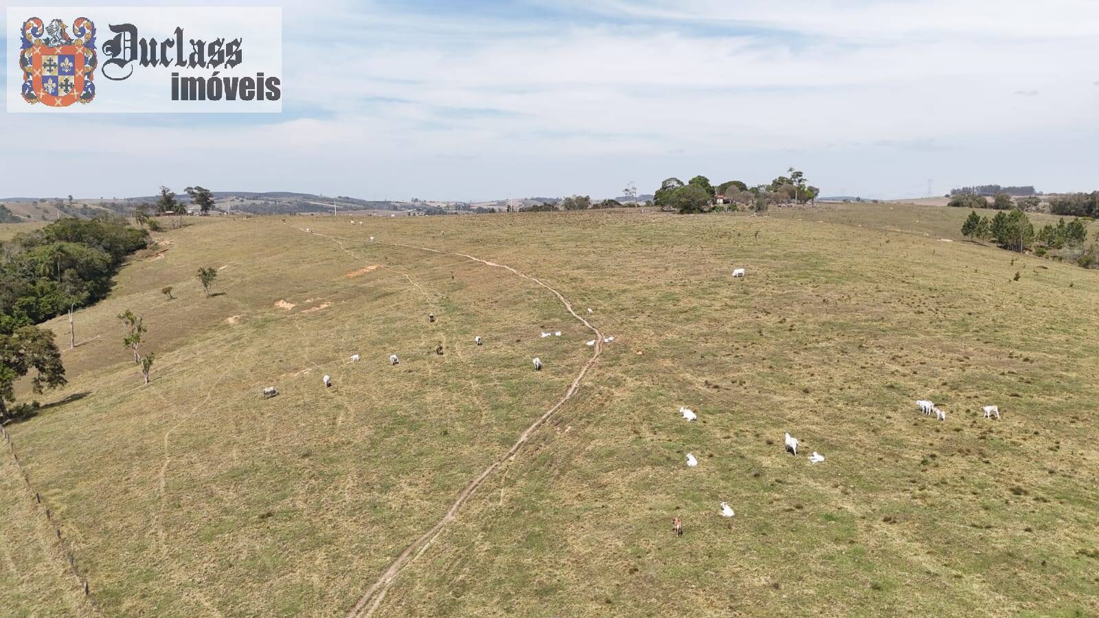 Terreno, 68 hectares - Foto 22
