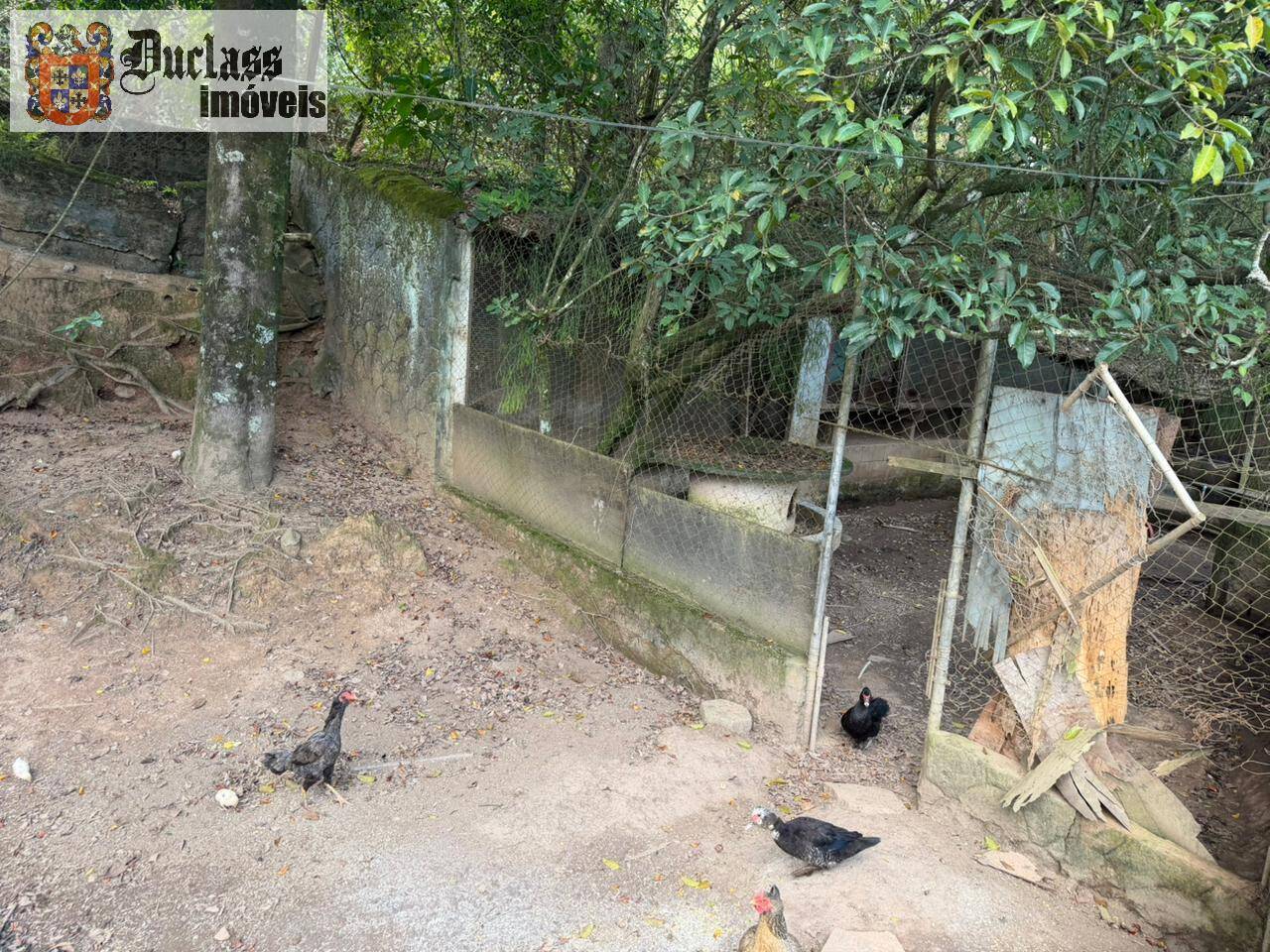 Sítio, 7 quartos, 2 hectares - Foto 16