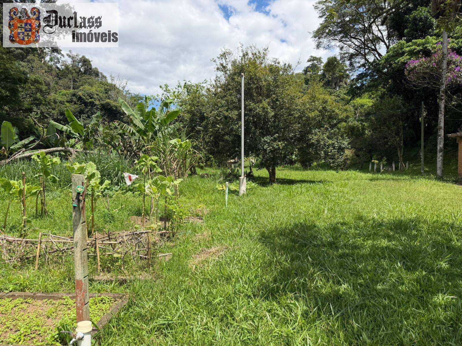 Sítio, 7 quartos, 2 hectares - Foto 29