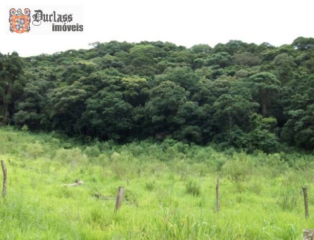 Terreno, 5 hectares - Foto 6