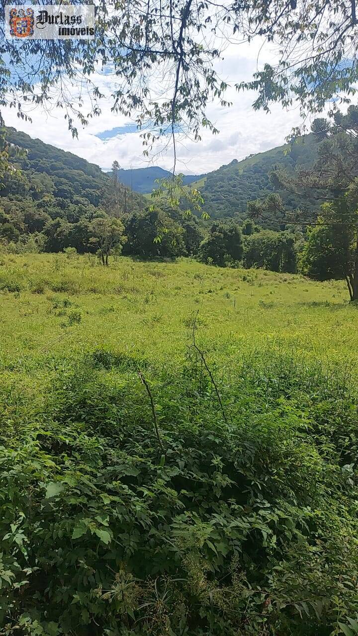 Terreno, 5 hectares - Foto 7