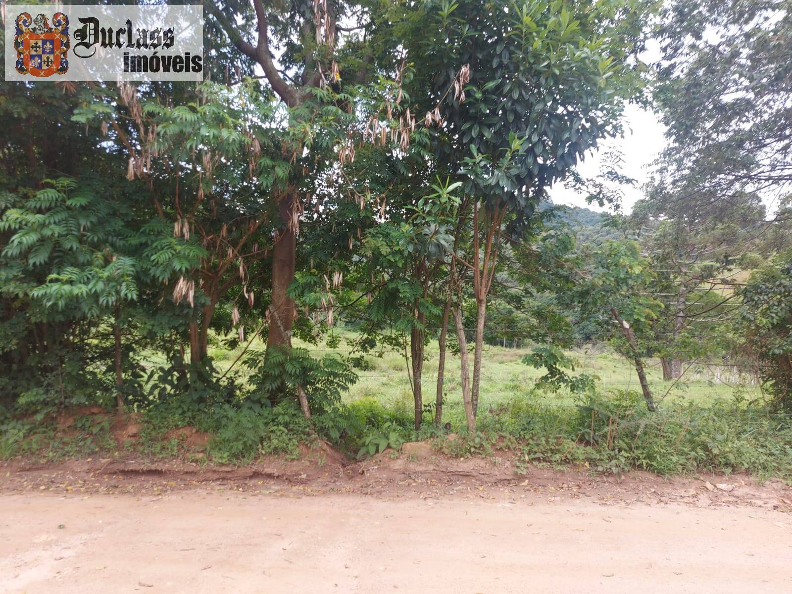 Terreno, 5 hectares - Foto 9