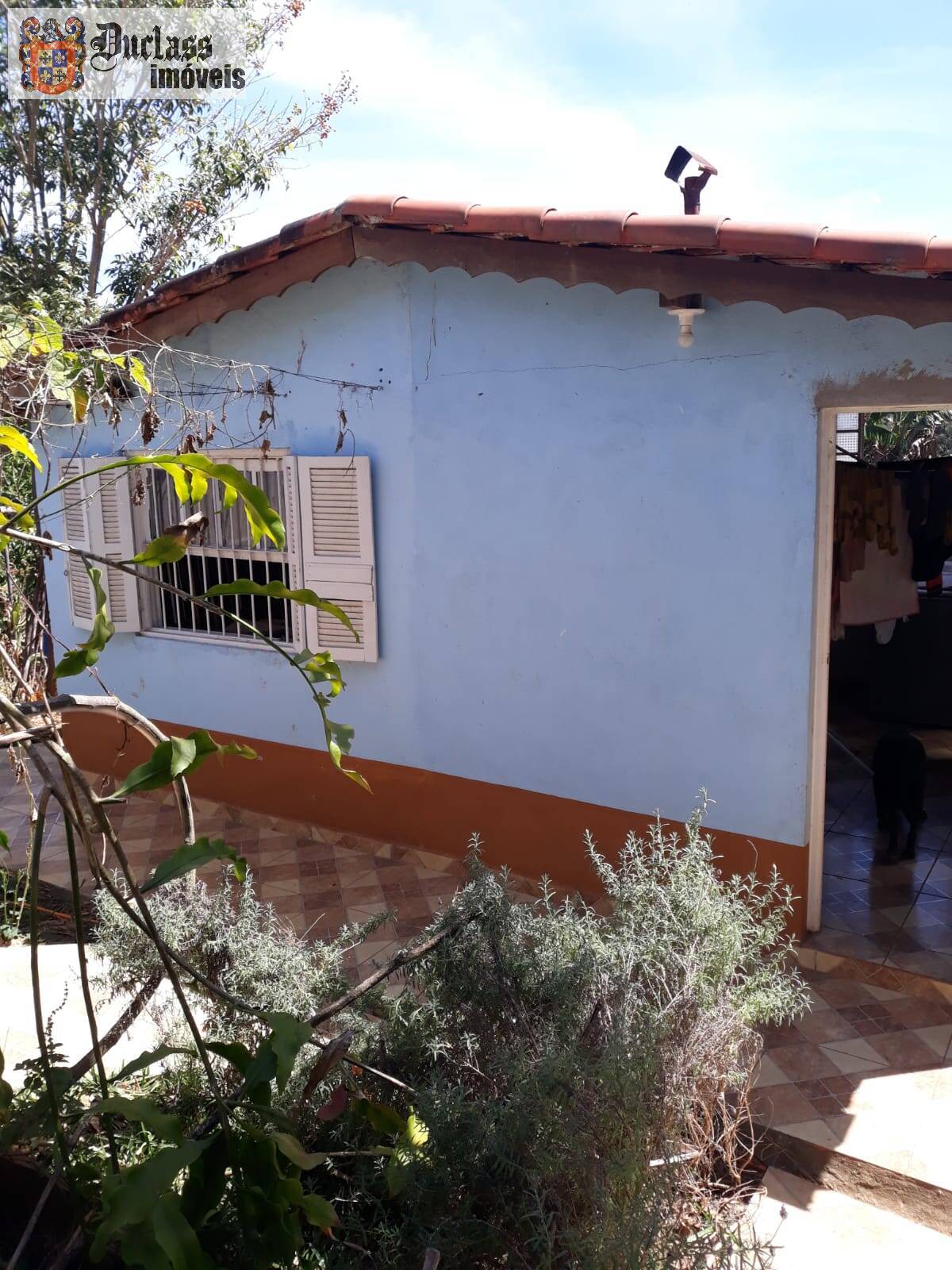 Sítio, 2 quartos, 2000 m² - Foto 2
