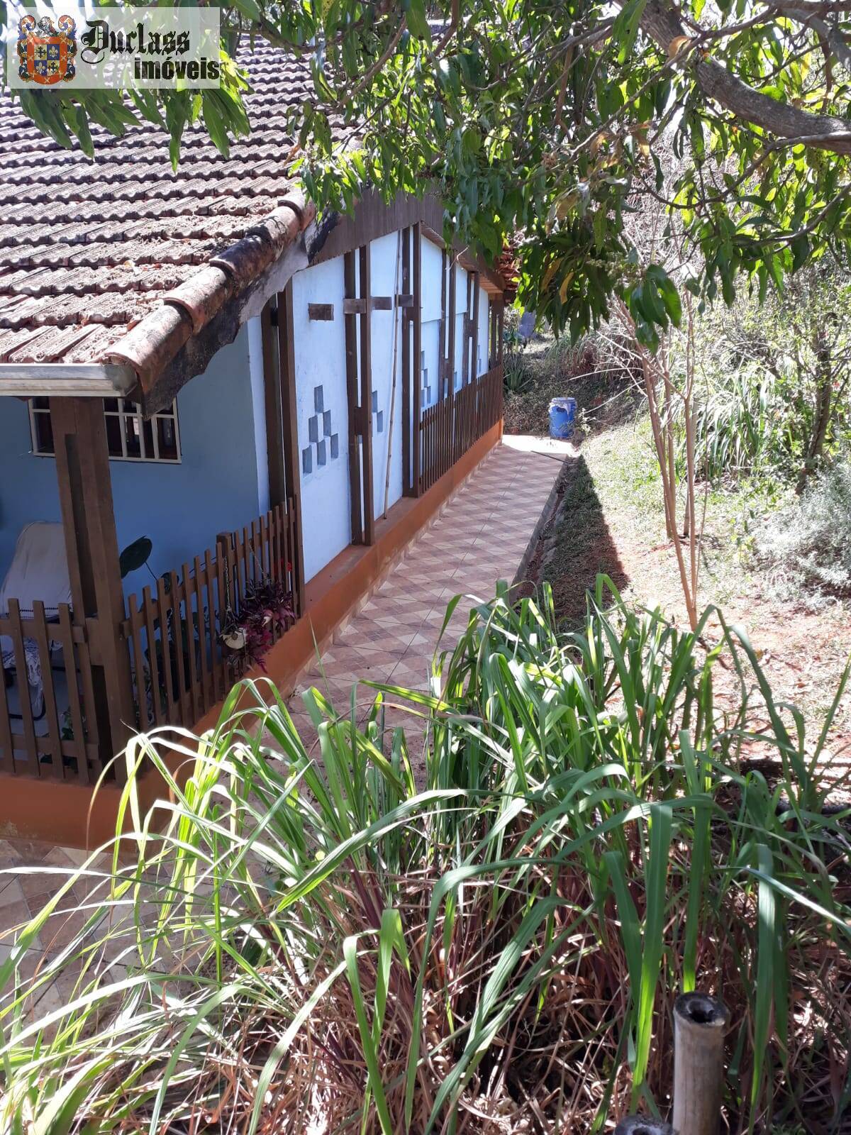 Sítio, 2 quartos, 2000 m² - Foto 5