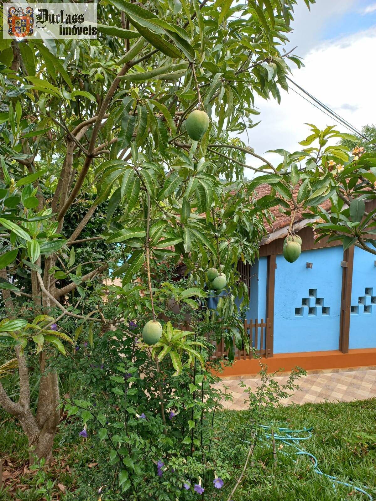 Sítio, 2 quartos, 2000 m² - Foto 10
