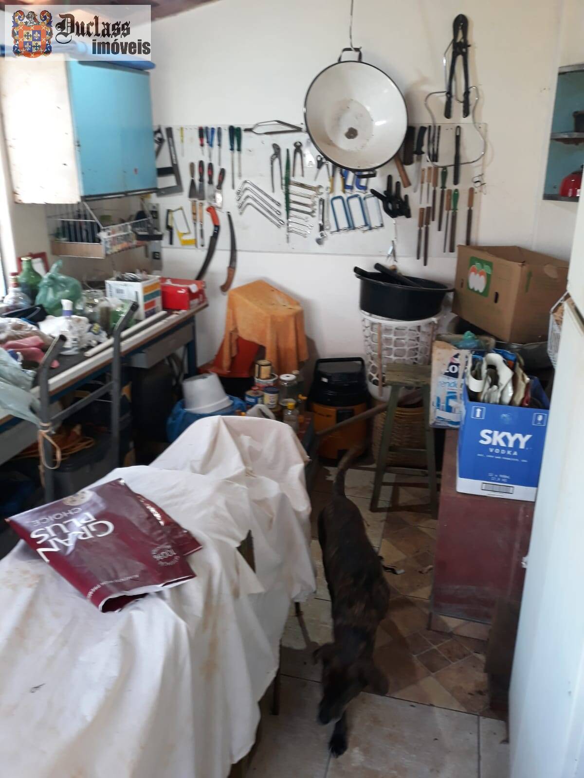 Sítio, 2 quartos, 2000 m² - Foto 14
