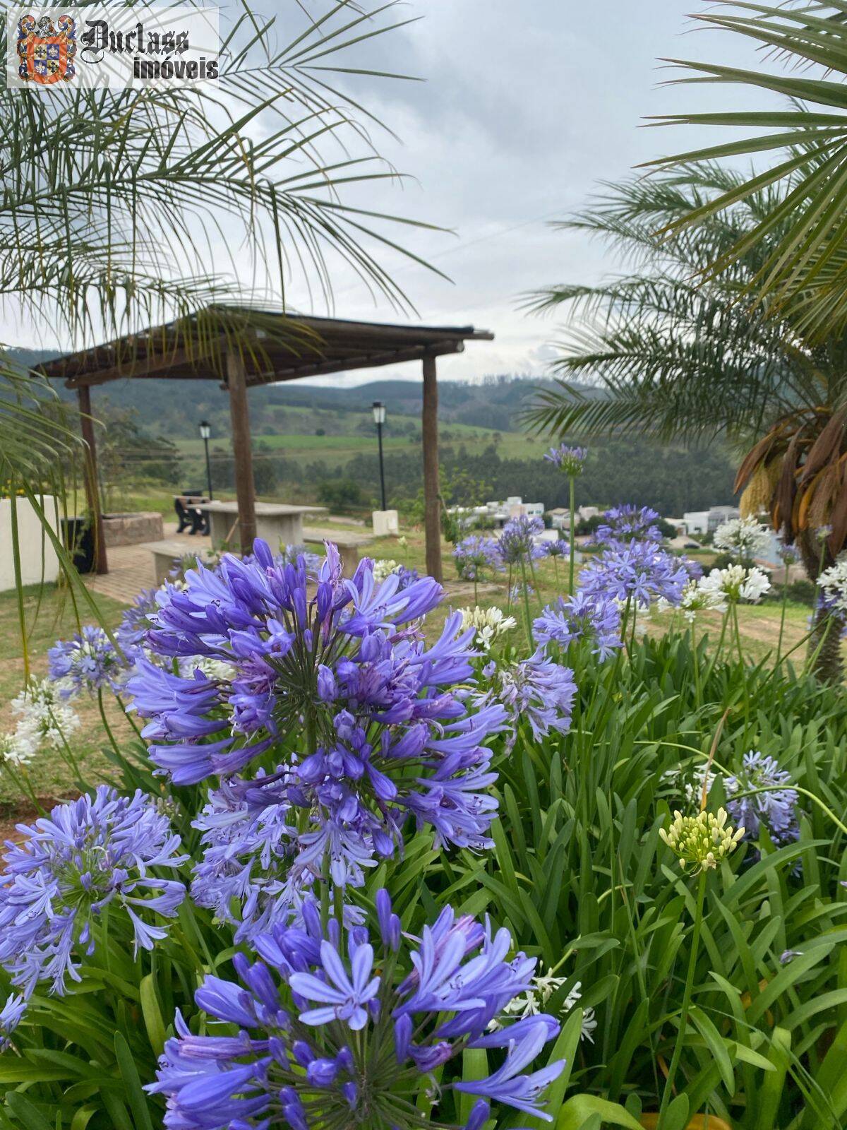 Terreno, 600 m² - Foto 5