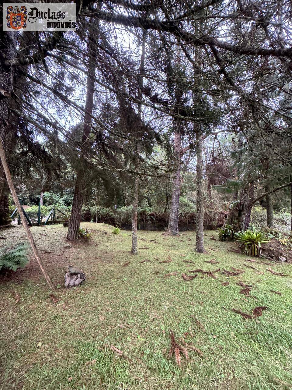 Casa, 4 quartos, 207 m² - Foto 5