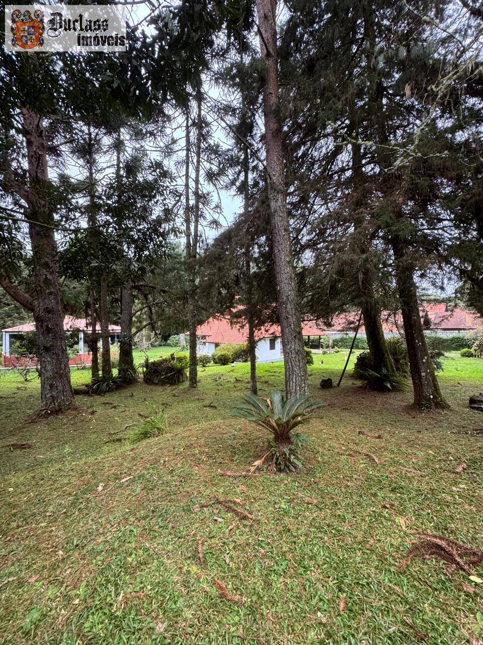 Casa, 4 quartos, 207 m² - Foto 7