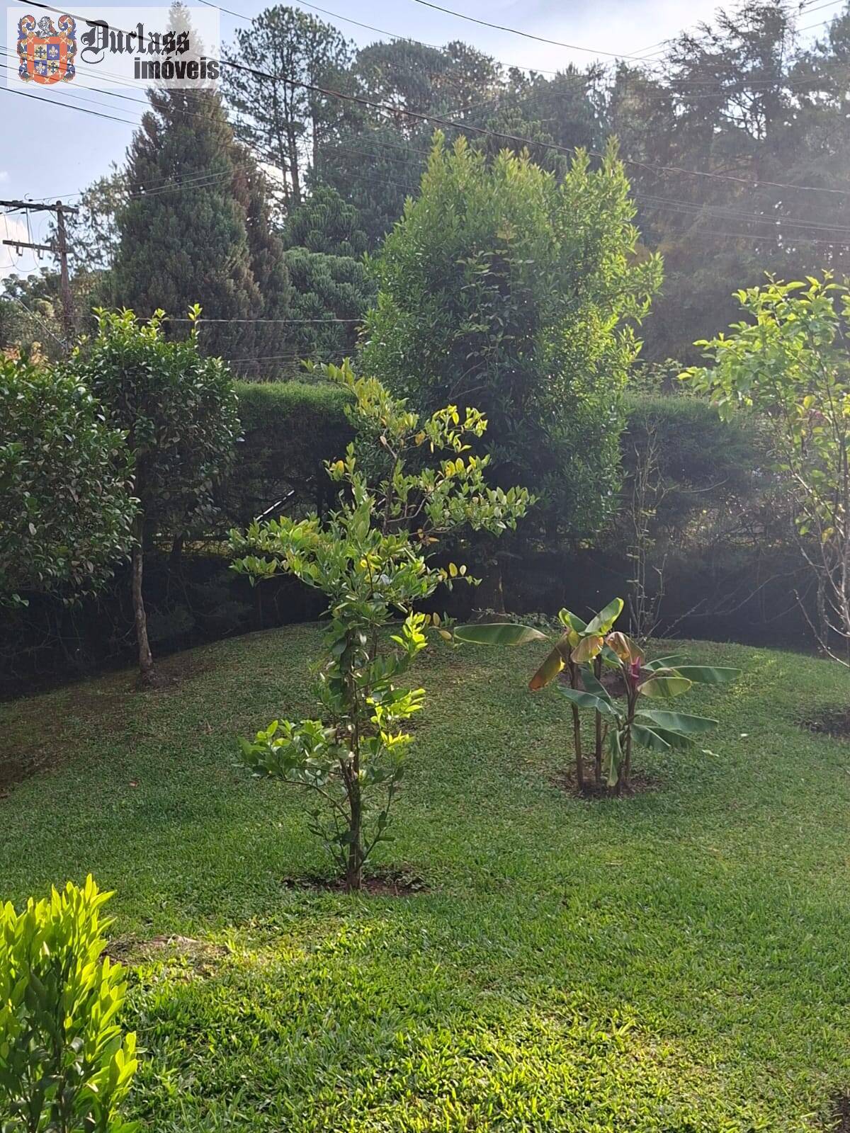 Chácara, 4 quartos, 2765 m² - Foto 36