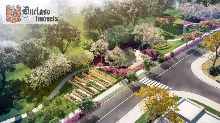 Terreno, 250 m² - Foto 3