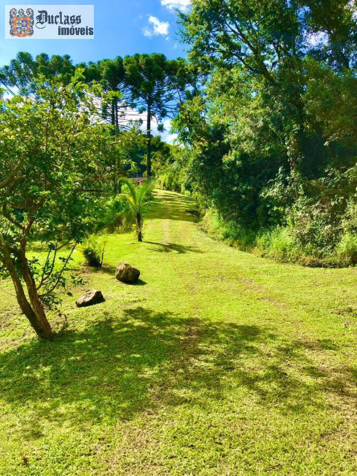Sítio à venda com 2 quartos, 200m² - Foto 36
