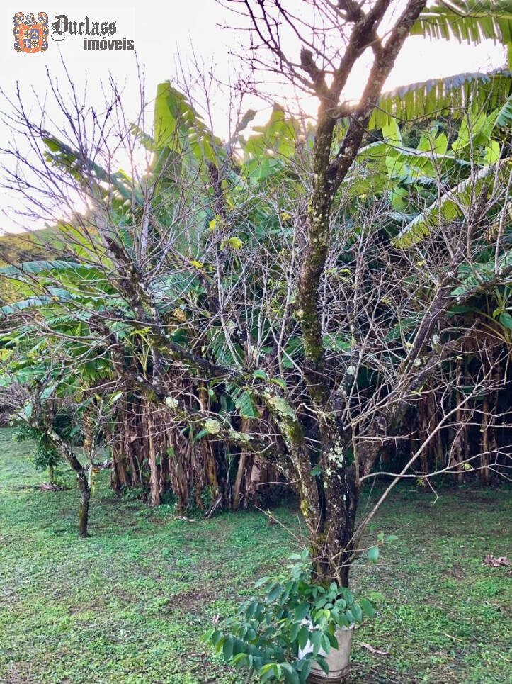 Sítio à venda com 2 quartos, 200m² - Foto 38