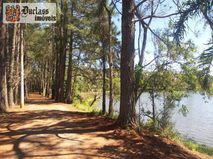 Sobrado, 4 quartos, 352 m² - Foto 65