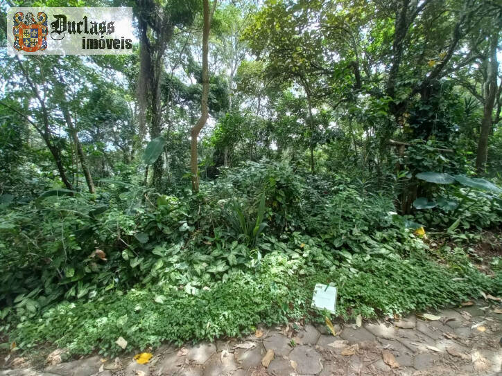 Terreno, 3701 m² - Foto 1