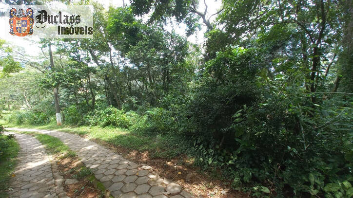 Terreno, 3701 m² - Foto 3