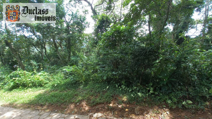 Terreno, 3701 m² - Foto 4