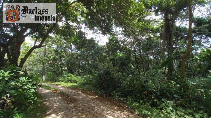 Terreno, 3701 m² - Foto 6