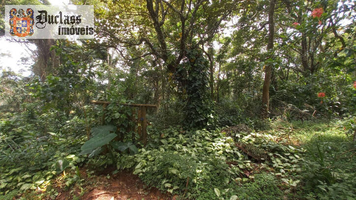 Terreno, 3701 m² - Foto 7